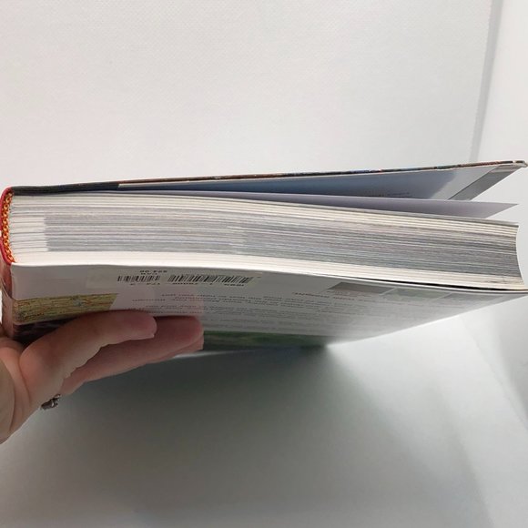 Insight Guide to Mexico | Book - Picture 7 of 8